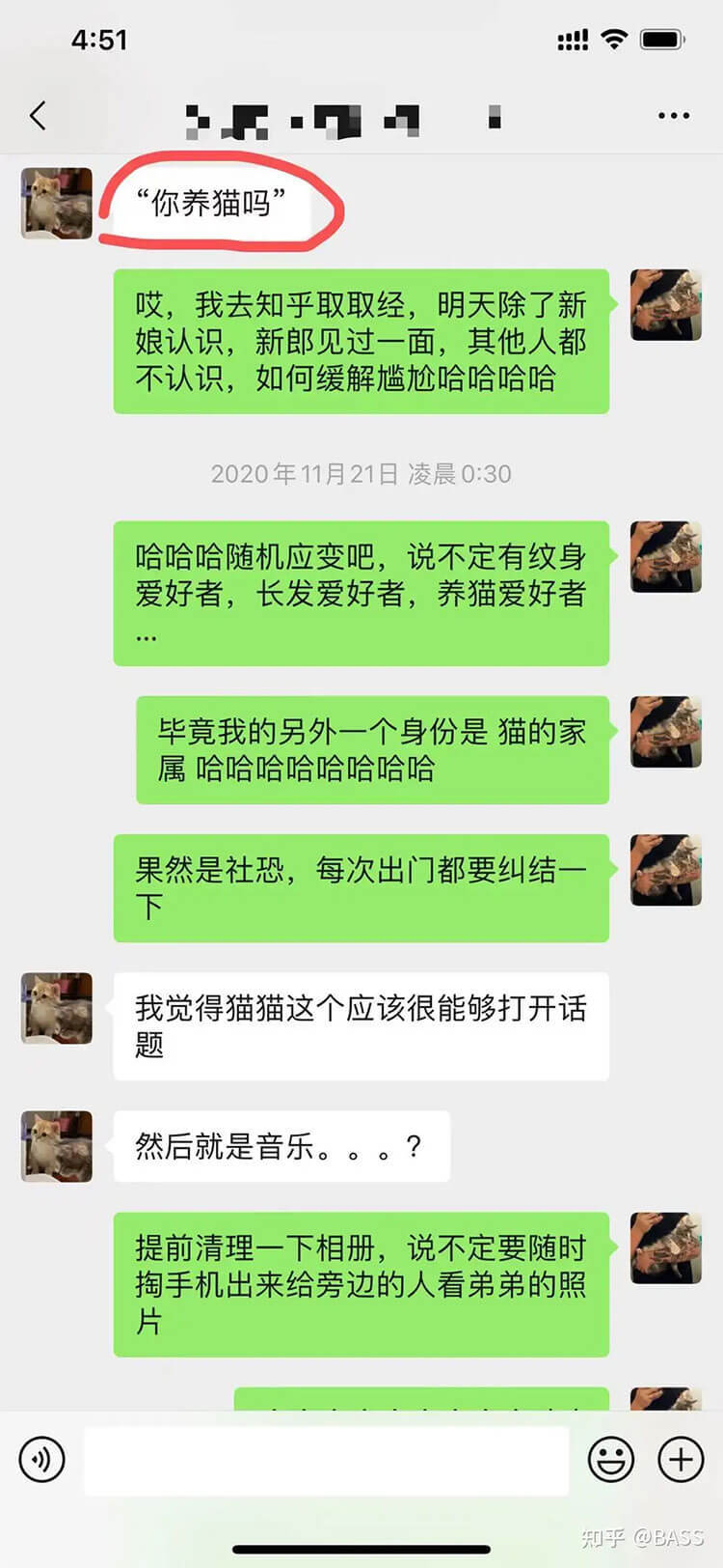 养了三只猫的我