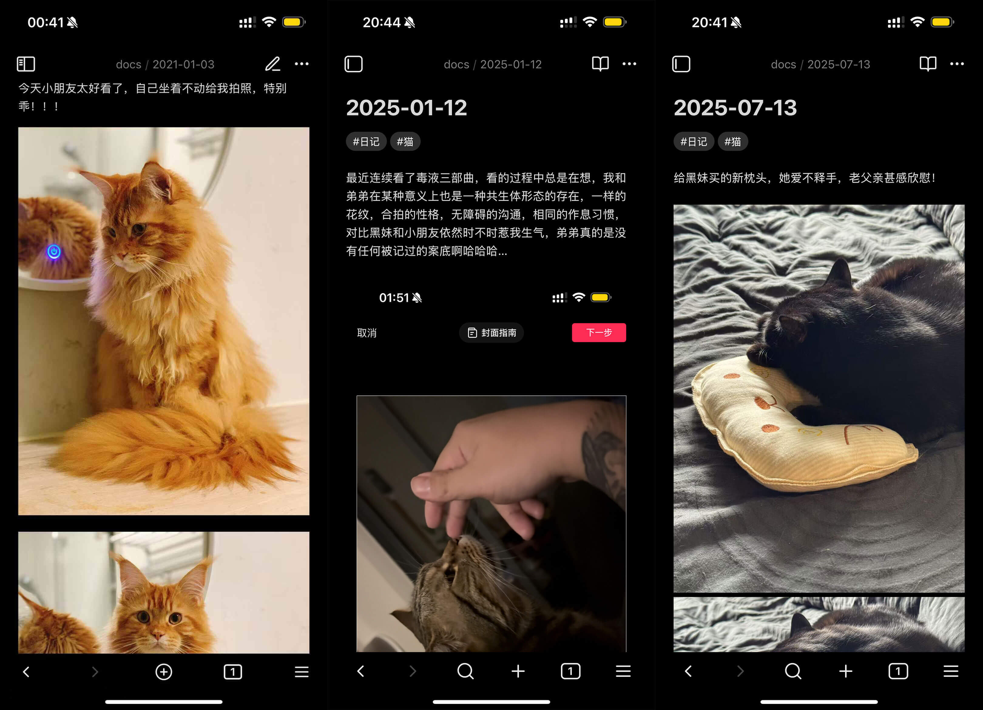 哈哈哈很多都是跟猫生活的美好瞬间
